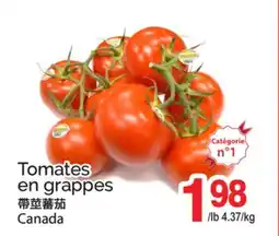 T&T Supermarket TOMATES EN GRAPPES offer