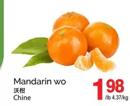 T&T Supermarket MANDARIN WO offer