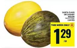 Food Basics Santa Claus or Canary Melon offer