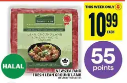 Food Basics New Zealand Fresh Lean Ground Lamb offer