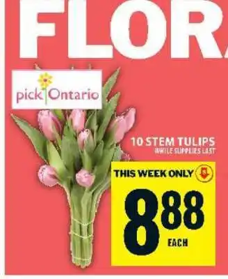 Food Basics 10 STEM TULIPS offer