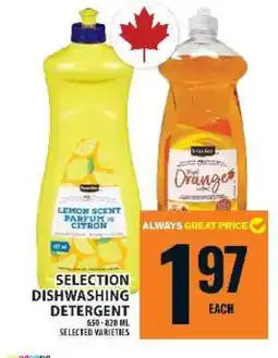 Food Basics SELECTION DISHWASHING DETERGENT offer