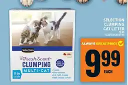 Food Basics SELECTION CLUMPING CAT LITTER offer