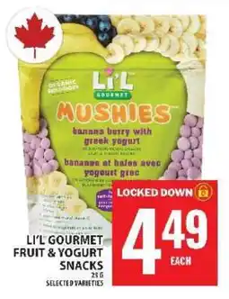 Food Basics LI'L GOURMET FRUIT & YOGURT SNACKS offer