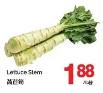 T&T Supermarket Lettuce Stem offer
