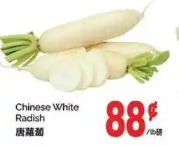 T&T Supermarket Chinese White Radish offer
