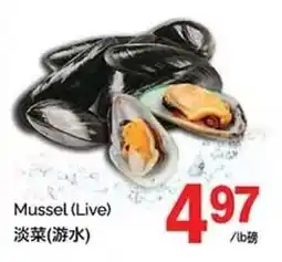 T&T Supermarket Mussel offer