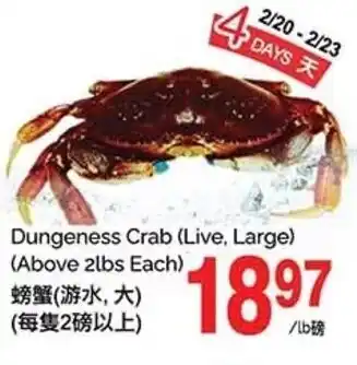 T&T Supermarket Dungeness Crab offer