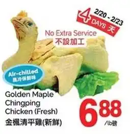 T&T Supermarket Golden Maple Chingping Chicken offer
