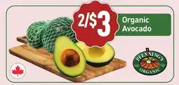 Healthy Planet Organic Avocado offer