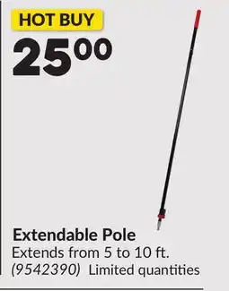 Princess Auto Extendable Pole offer