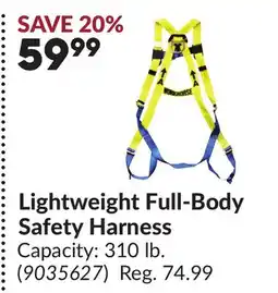 Princess Auto Lightweight Full-Body Safety Harness offer