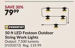 Princess Auto 50 ftLED Festoon Outdoor String Work Lights offer