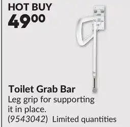 Princess Auto Toilet Grab Bar offer