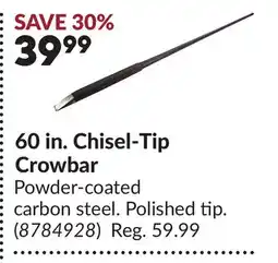 Princess Auto 60 in. Chisel-Tip Crowbar offer
