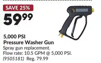 Princess Auto 5,000 PSI Pressure Washer Gun offer