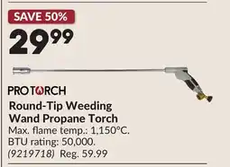 Princess Auto Round-Tip Weeding Wand Propane Torch offer