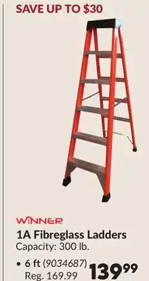 Princess Auto 1A Fibreglass Ladders offer