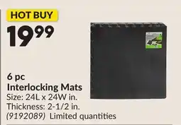 Princess Auto 6 pc Interlocking Mats offer