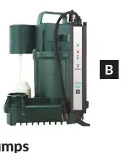 Princess Auto 3/4 HP Sump Pumps offer