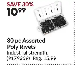 Princess Auto Performance Tool 80 pc Assorted Poly Rivets offer