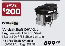Princess Auto Vertical-ShaftOHV Gas Engines with Electric Start offer
