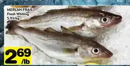 Supermarché PA MERLAN FRAIS | Fresh Whiting offer