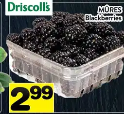 Supermarché PA MÛRES | Blackberries offer