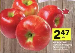 IGA Honeycrisp Apples Canada offer
