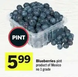 IGA Blueberries offer