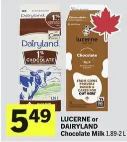 IGA Lucerne or dairyland chocolate milk offer