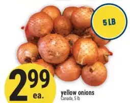 Marché Adonis Yellow onions offer