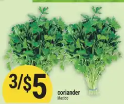 Marché Adonis CORIANDER offer