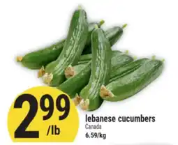 Marché Adonis lebanese cucumbers offer