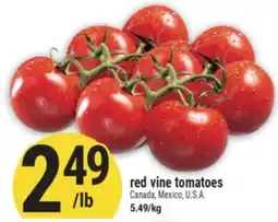 Marché Adonis Red vine tomatoes offer