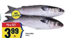 Marché Adonis FRESH MULLETS offer