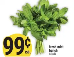 Marché Adonis Fresh mint offer