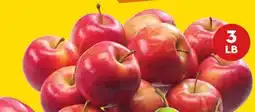 Giant Tiger 3 lb Royal Gala Apples offer