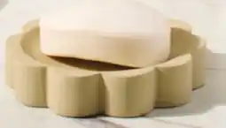 Giant Tiger Soap dish offer