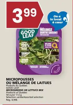 Rachelle-Bery Grocery GOOD LEAF MICROGREENS OR LETTUCE MIX Quebec offer