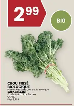 Rachelle-Bery Grocery ORGANIC KALE offer