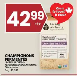 Rachelle-Bery Grocery LIVING ALCHEMY FERMENTED MUSHROOMS offer