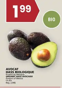 Rachelle-Bery Grocery ORGANIC HASS AVOCADO offer