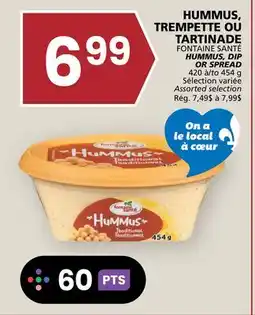 Rachelle-Bery Grocery FONTAINE SANTÉ HUMMUS, DIP OR SPREAD offer
