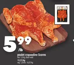 Marche Ami Poulet crapaudine Scores offer