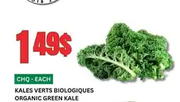 Marches Tau KALES VERTS BIOLOGIQUES offer
