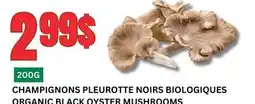 Marches Tau CHAMPIGNONS PLEUROTTE NOIRS BIOLOGIQUES offer