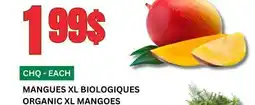 Marches Tau MANGUES XL BIOLOGIQUES offer