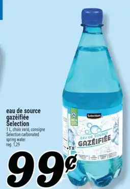 Marché Richelieu EAU DE SOURCE GAZÉIFIÉE SELECTION | SELECTION CARBONATED SPRING WATER offer