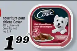 Marché Richelieu NOURRITURE POUR CHIENS CESAR | CESAR DOG FOOD offer